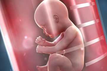 Reageerbuisbevruchting